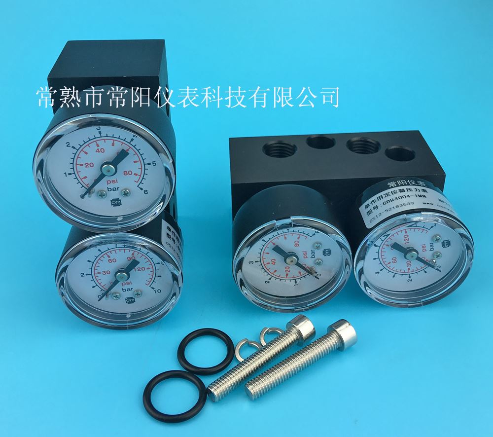 <strong><strong><strong><strong><strong><strong><strong><strong><strong><strong><strong><strong><strong><strong><strong><strong><strong>6DR4004-1M單作用壓力表組件</strong></strong></strong></strong></strong></strong></strong></strong></strong></strong></strong></strong></strong></strong></strong></strong></strong>, 6DR4004-1M單作用壓力表模塊,西門子閥門定位器安裝配件